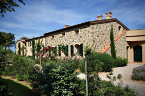 Ulivo nel Borgo Santa Chiara Gavorrano